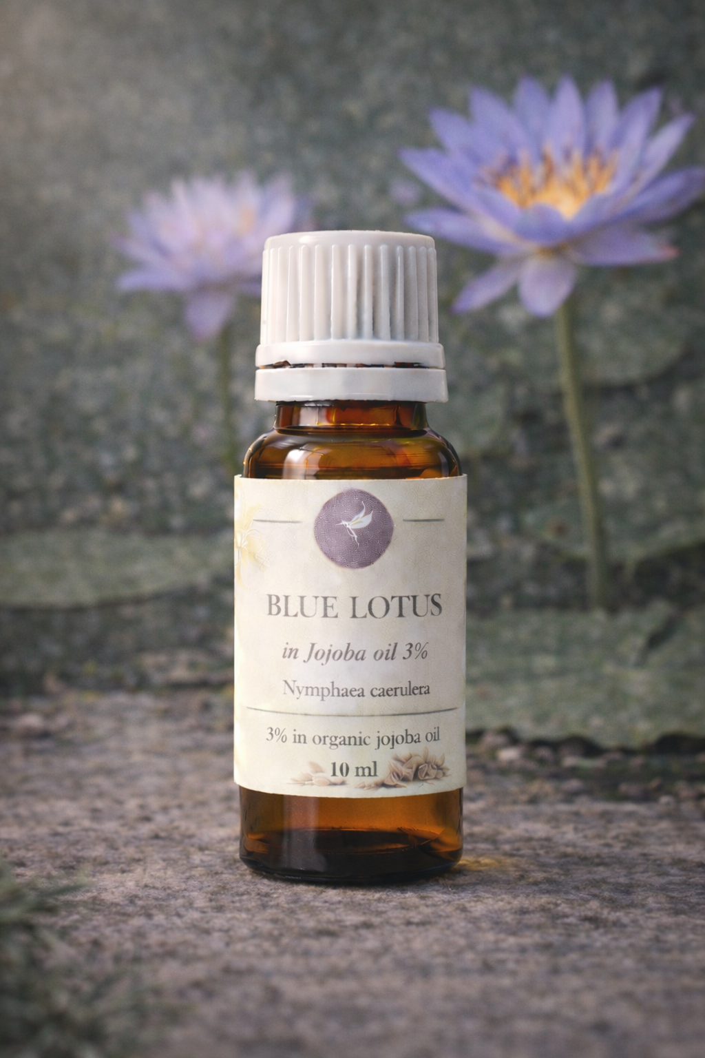 10FB668B-083A-4B31-926B-8A882908F09E