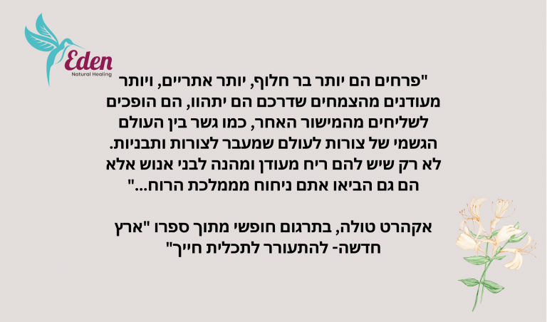 תדרים של פרחים
